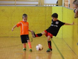 mini-IMG_6904